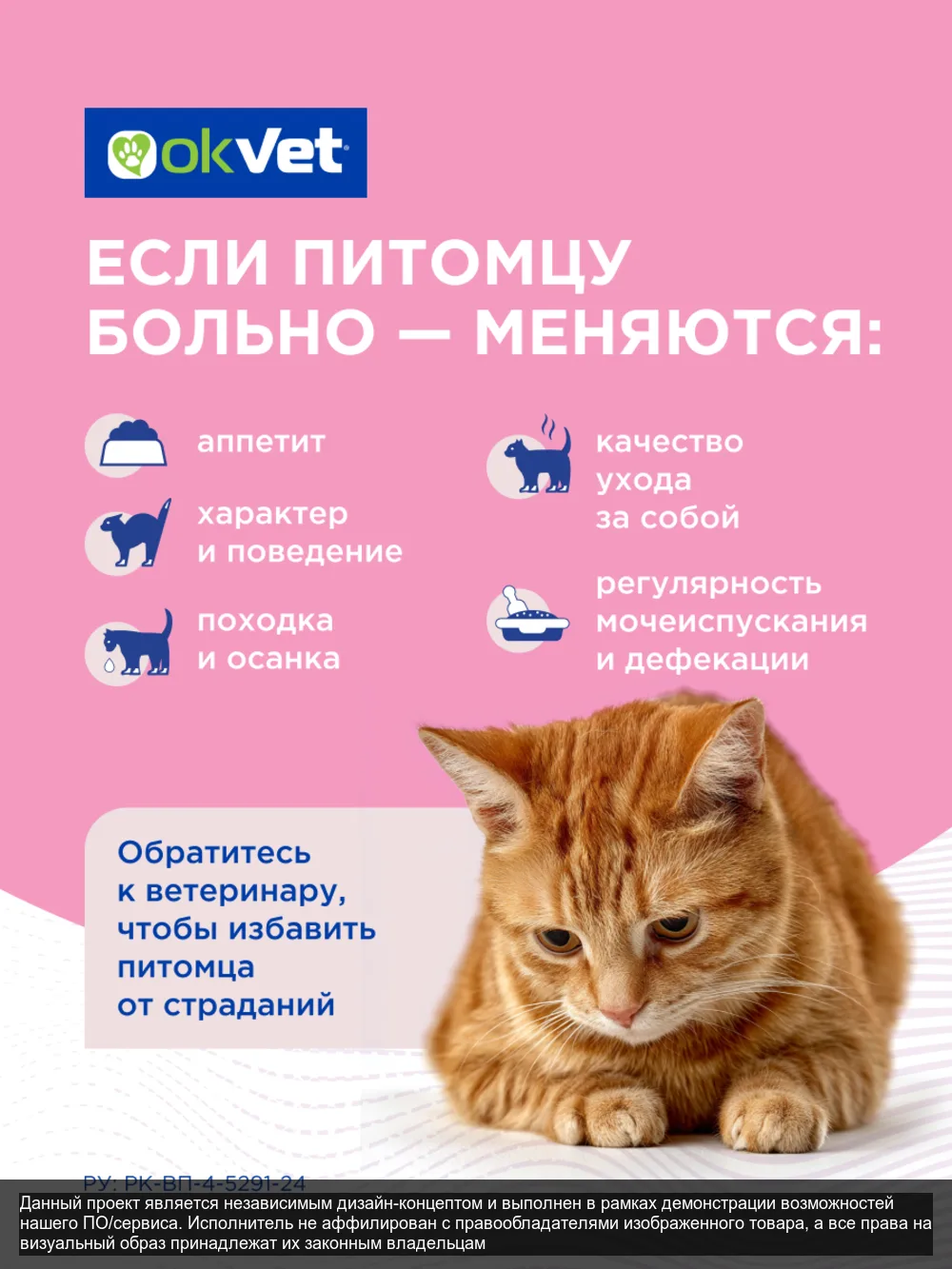 Roxior – слайд 2
