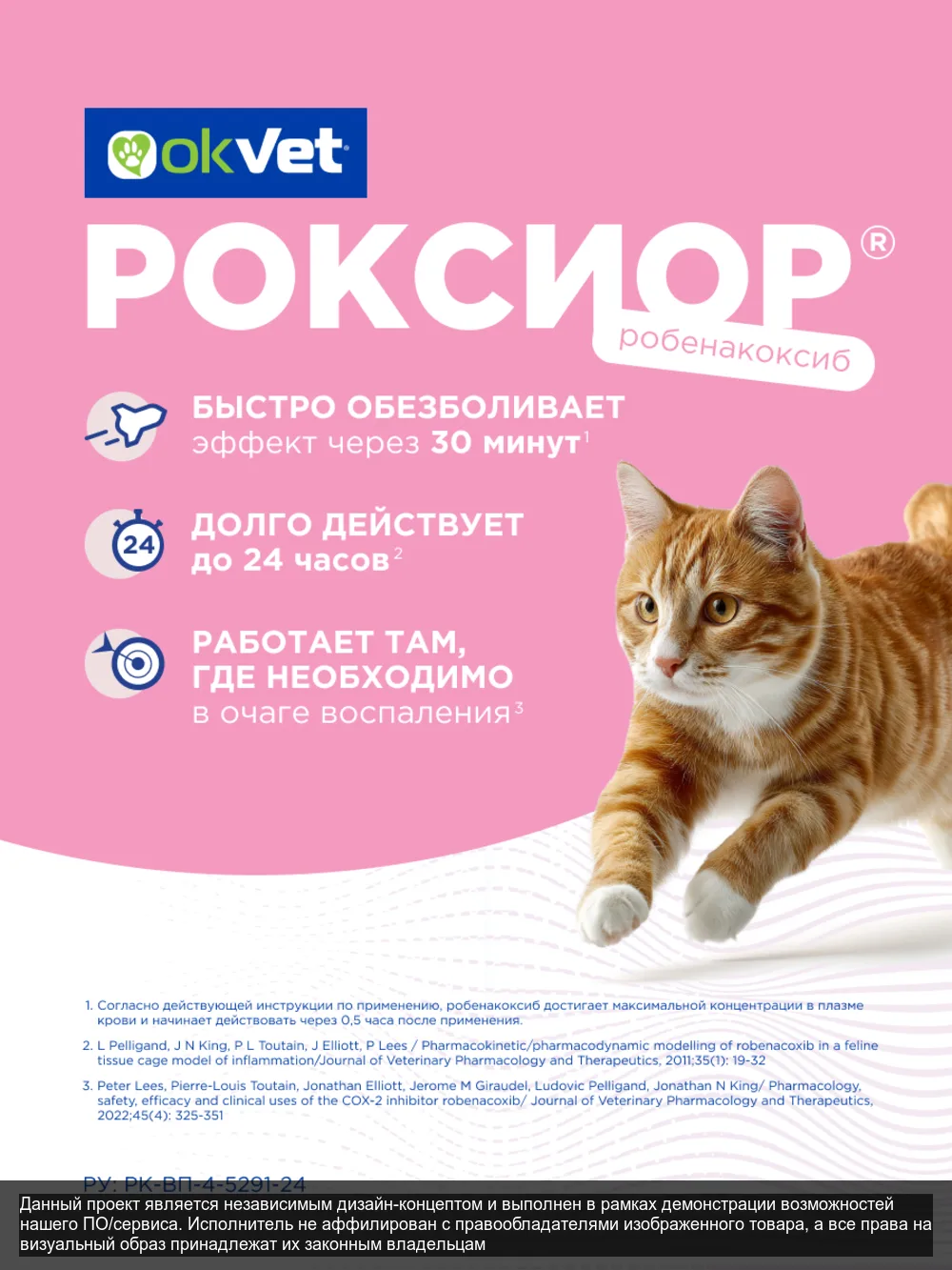 Roxior – слайд 4