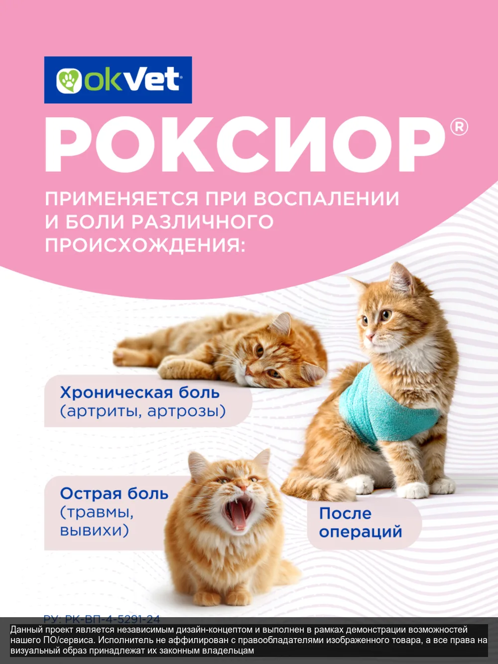 Roxior – слайд 5