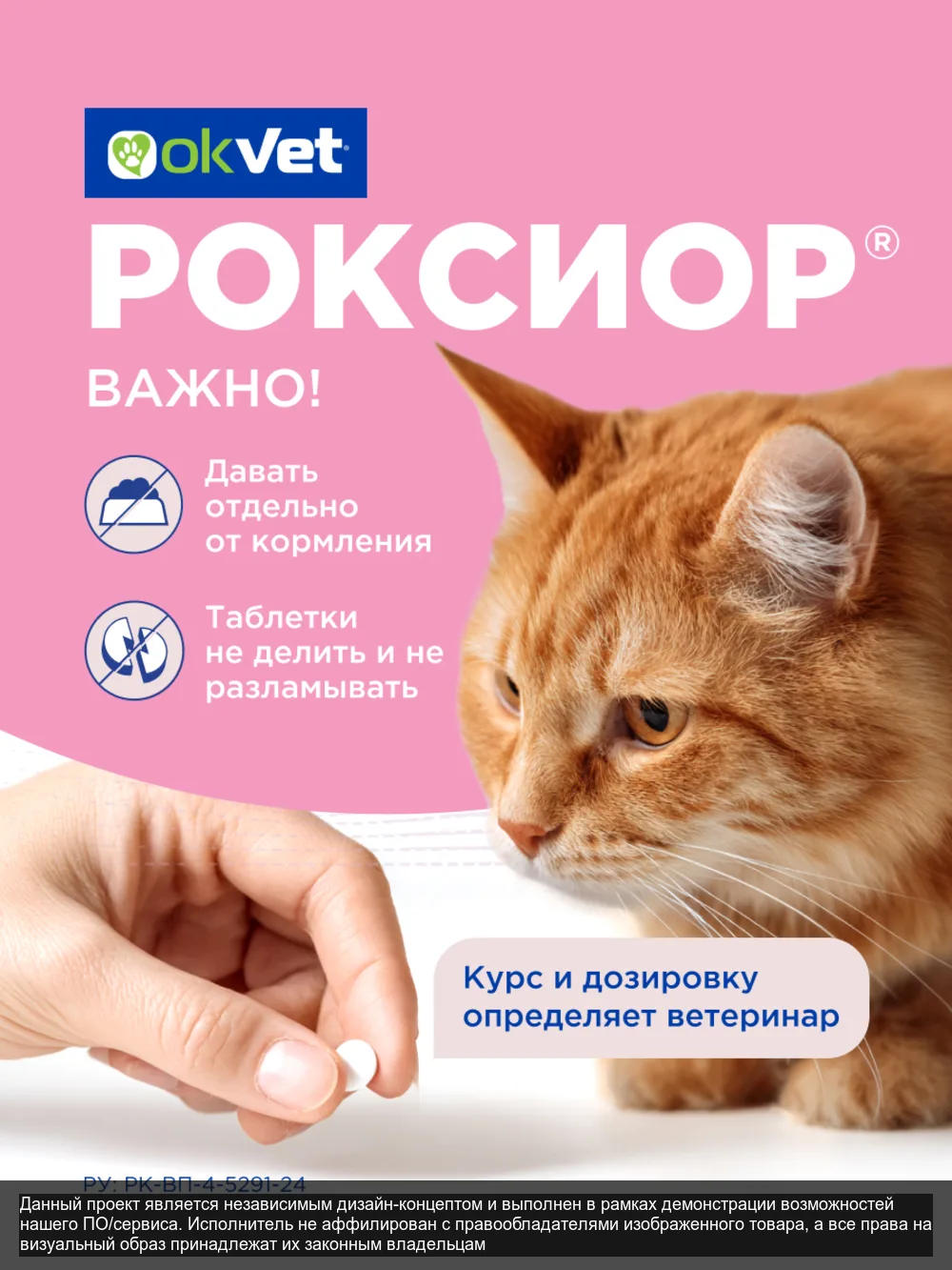 Roxior – слайд 6