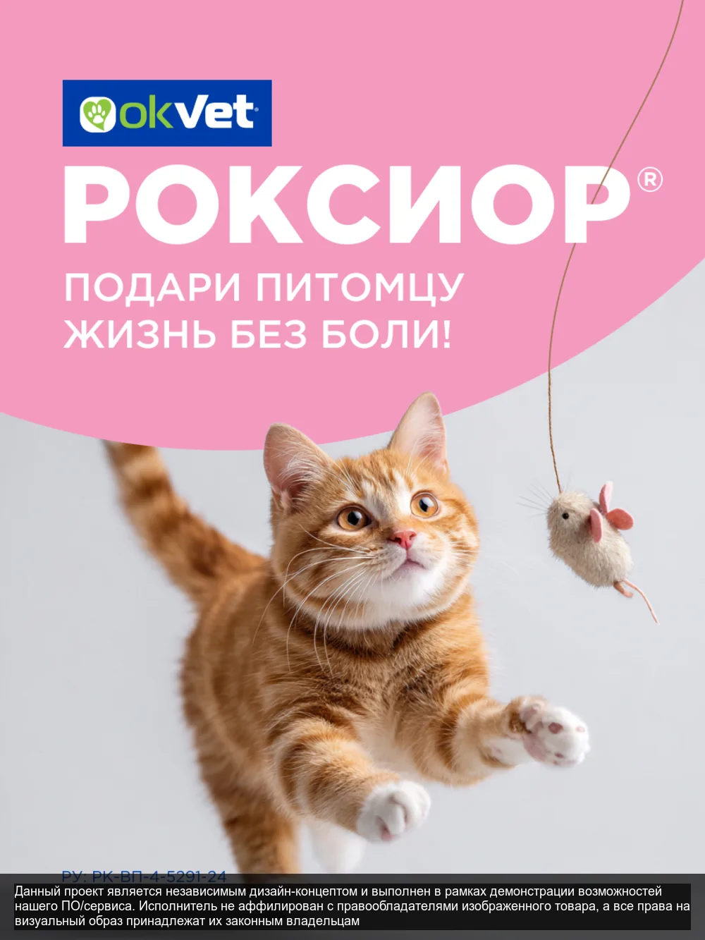 Roxior – слайд 8